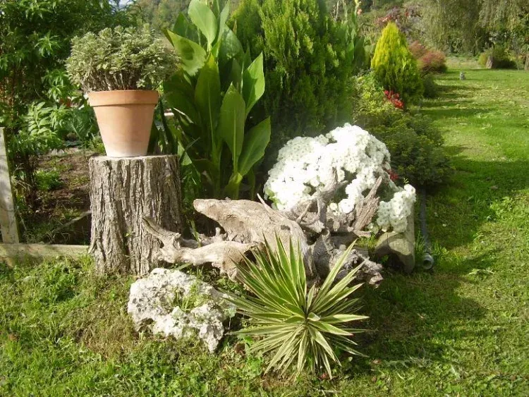 Imagen de Jardín