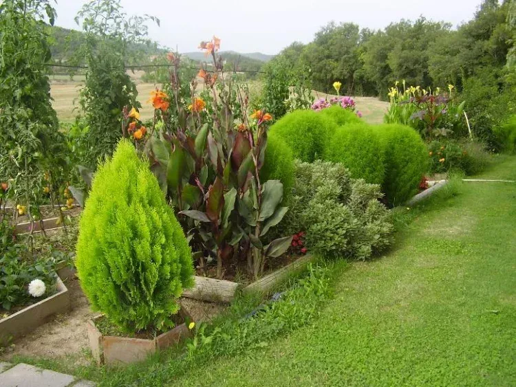 Imagen de Jardín