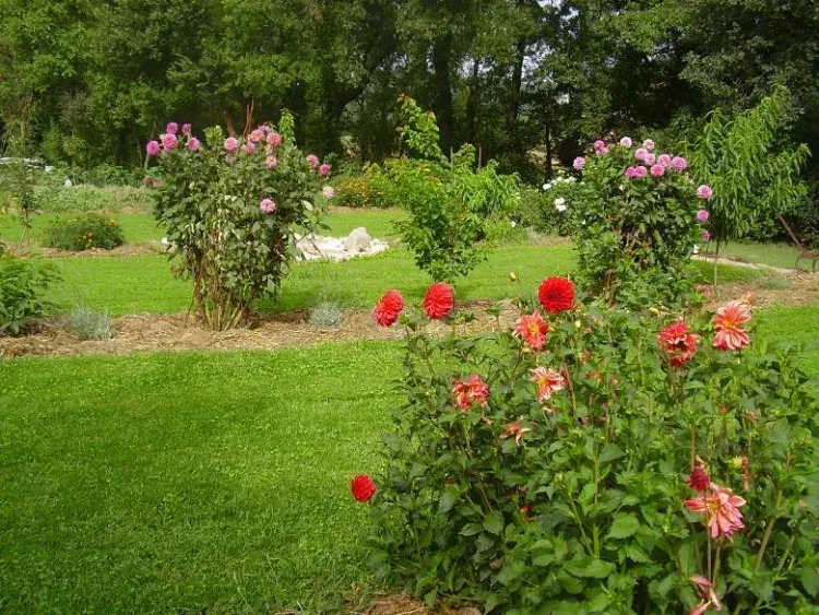 Imagen de Jardín