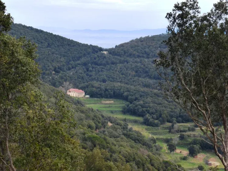 Imagen de Parc Montnegre/Corredor