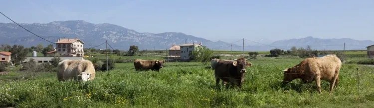 Imagen de PAISAJE