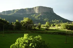 Imagen de El Colomer