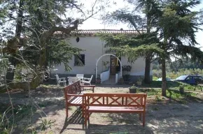 Imagen de Mas Guillo