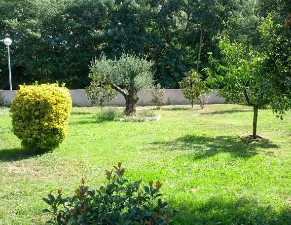 Imagen de Jardín