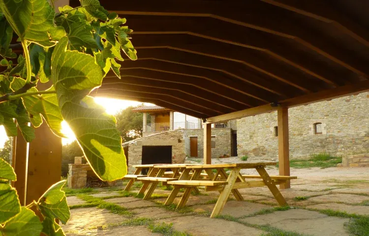 Imagen de Disfrutar del aire libre bajo la sombra