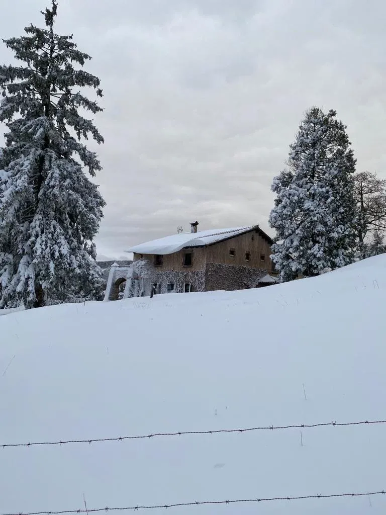 Imagen de La Gallinera, invierno