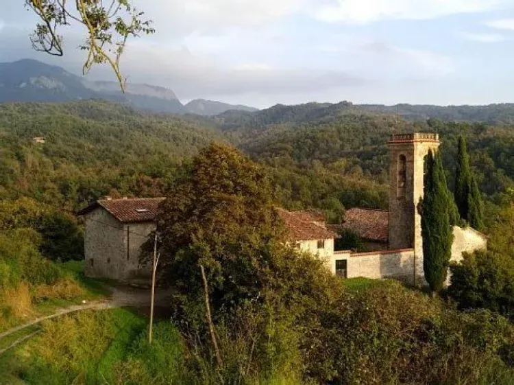 Imagen de Vistas desde la casa