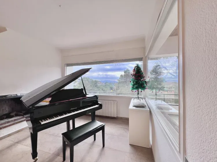 Imagen de Salón piano