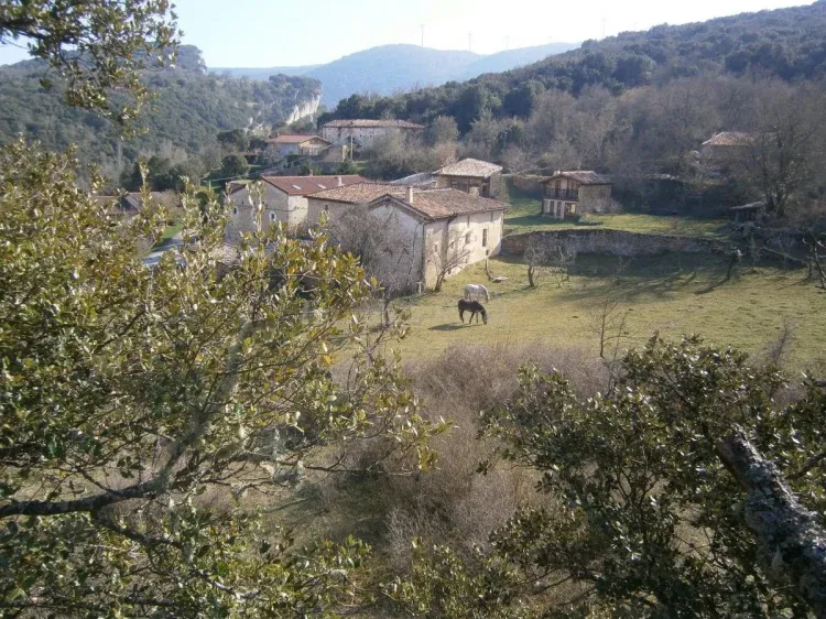 Imagen de Vista Manzanela con los caballos