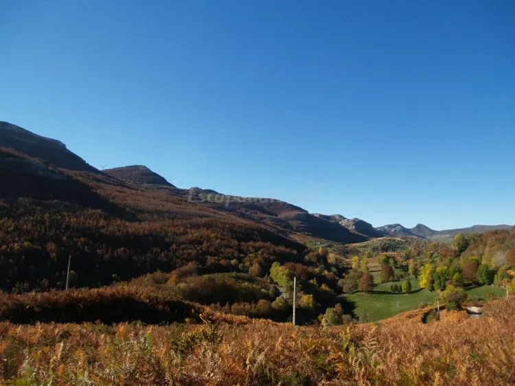 Imagen de Valle de Trueba en la zona de la cabaña