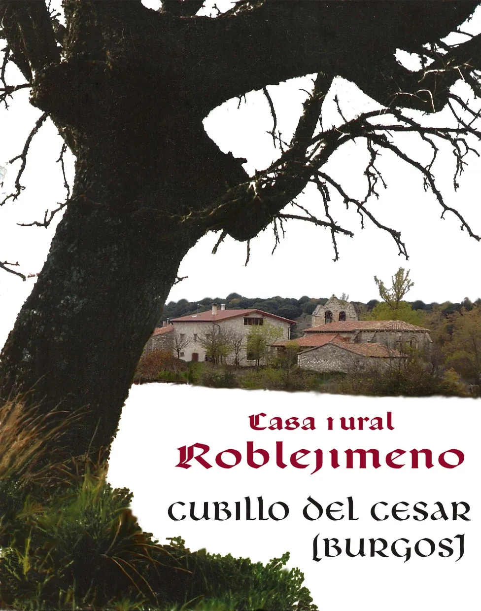 Imagen de Logotipo casa rural Roblejimeno