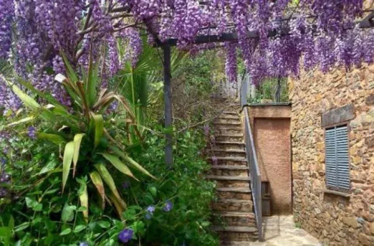 Imagen de Entrada casa 2