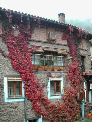 Imagen de Fachada posterior en otoño de Casa Manadero
