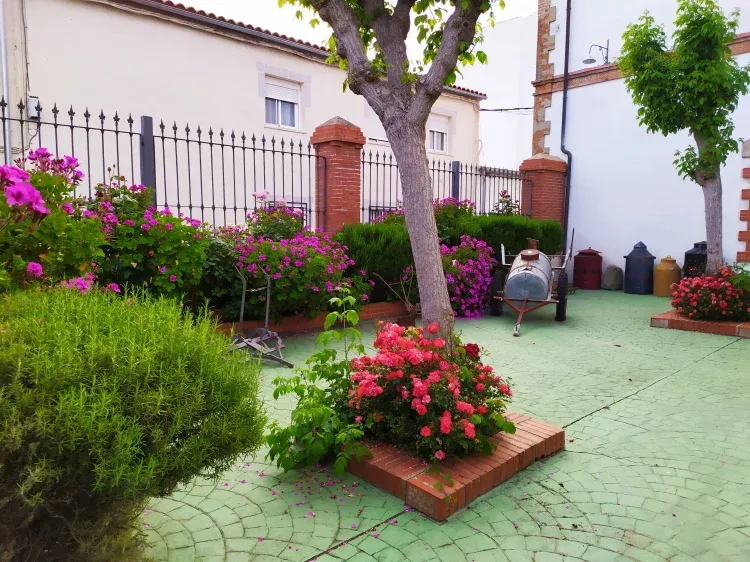 Imagen de Patio