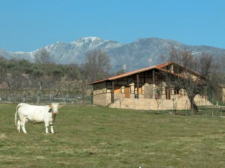 Imagen de Exteriores. Con vistas a la Sierra de Gredos.