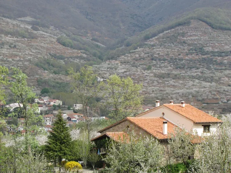 Imagen de La casa