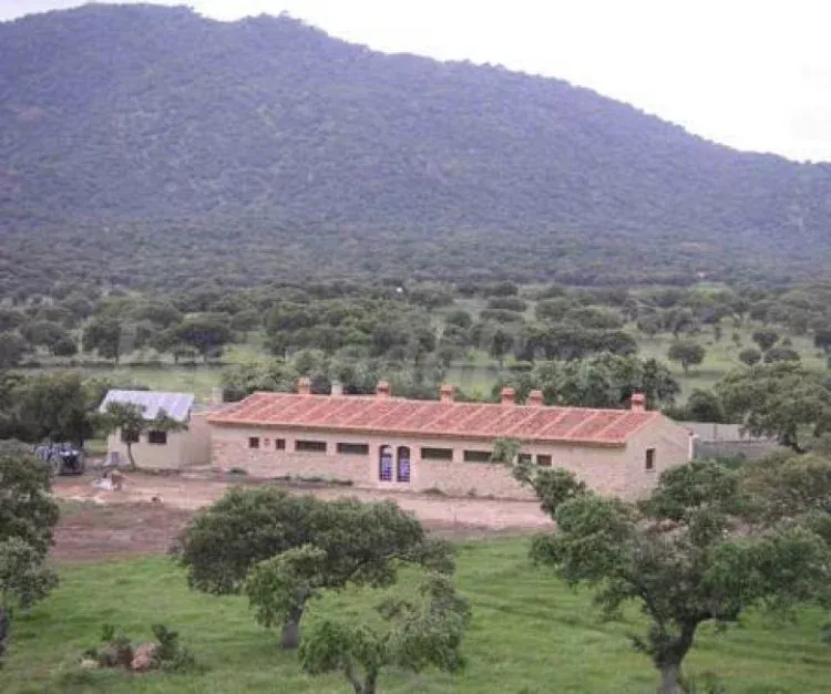 Imagen de Vista general