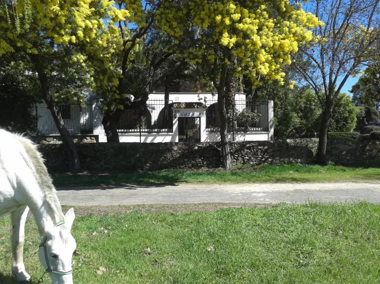 Imagen de Vista desde el exterior de la finca