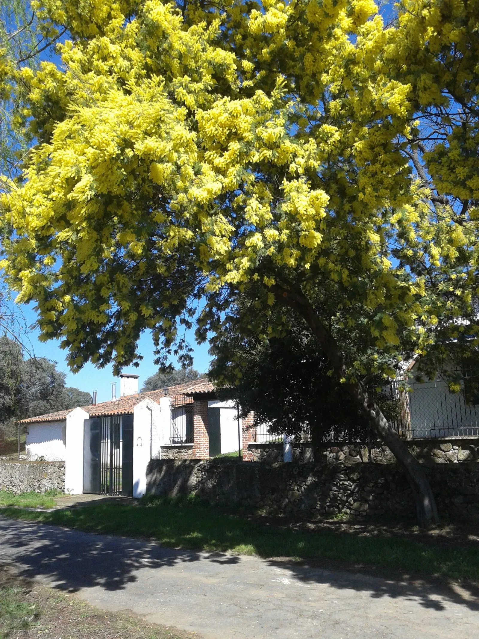 Imagen de Vista desde el exterior de la finca