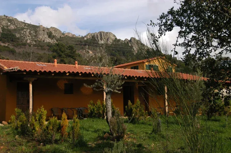 Imagen de La Solea