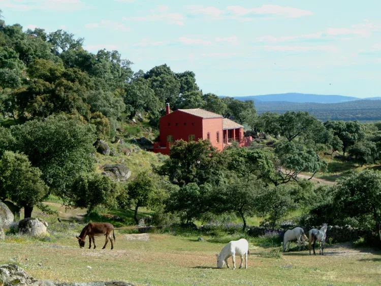 Imagen de El cortijo de Finca al-manzil