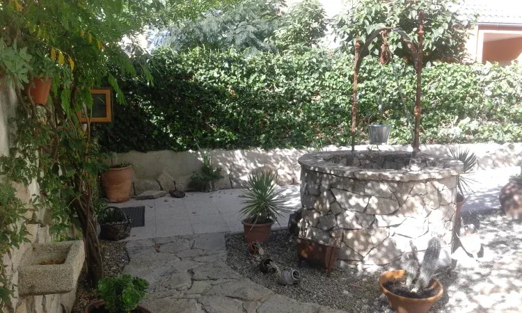 Imagen de Entrada