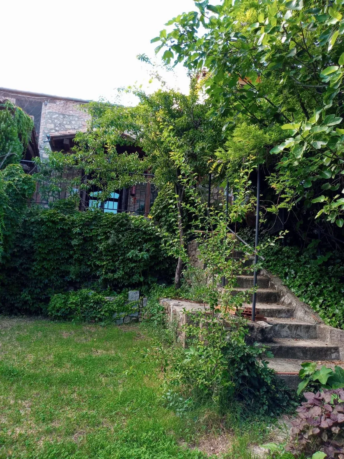 Imagen de Jardín