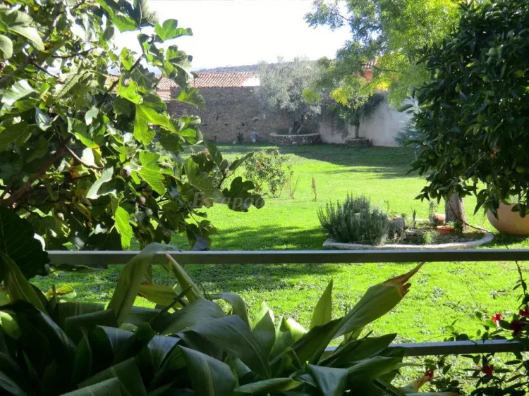 Imagen de Vista desde el jardin