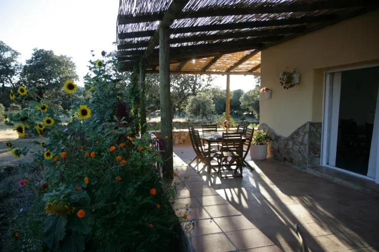 Imagen de Jardín y porche delantero