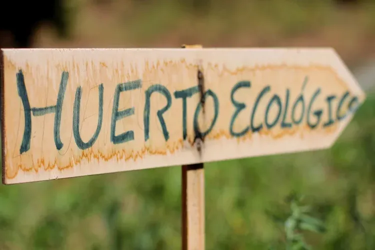 Imagen de Huerto Ecológico