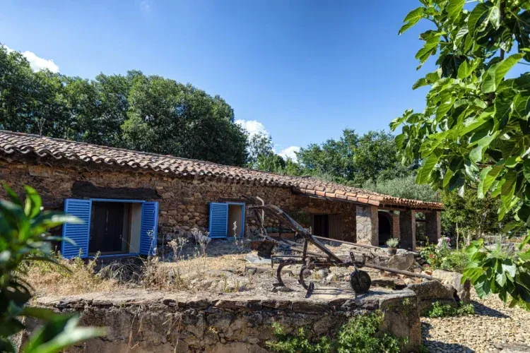 Imagen de Exteriores espacio molino