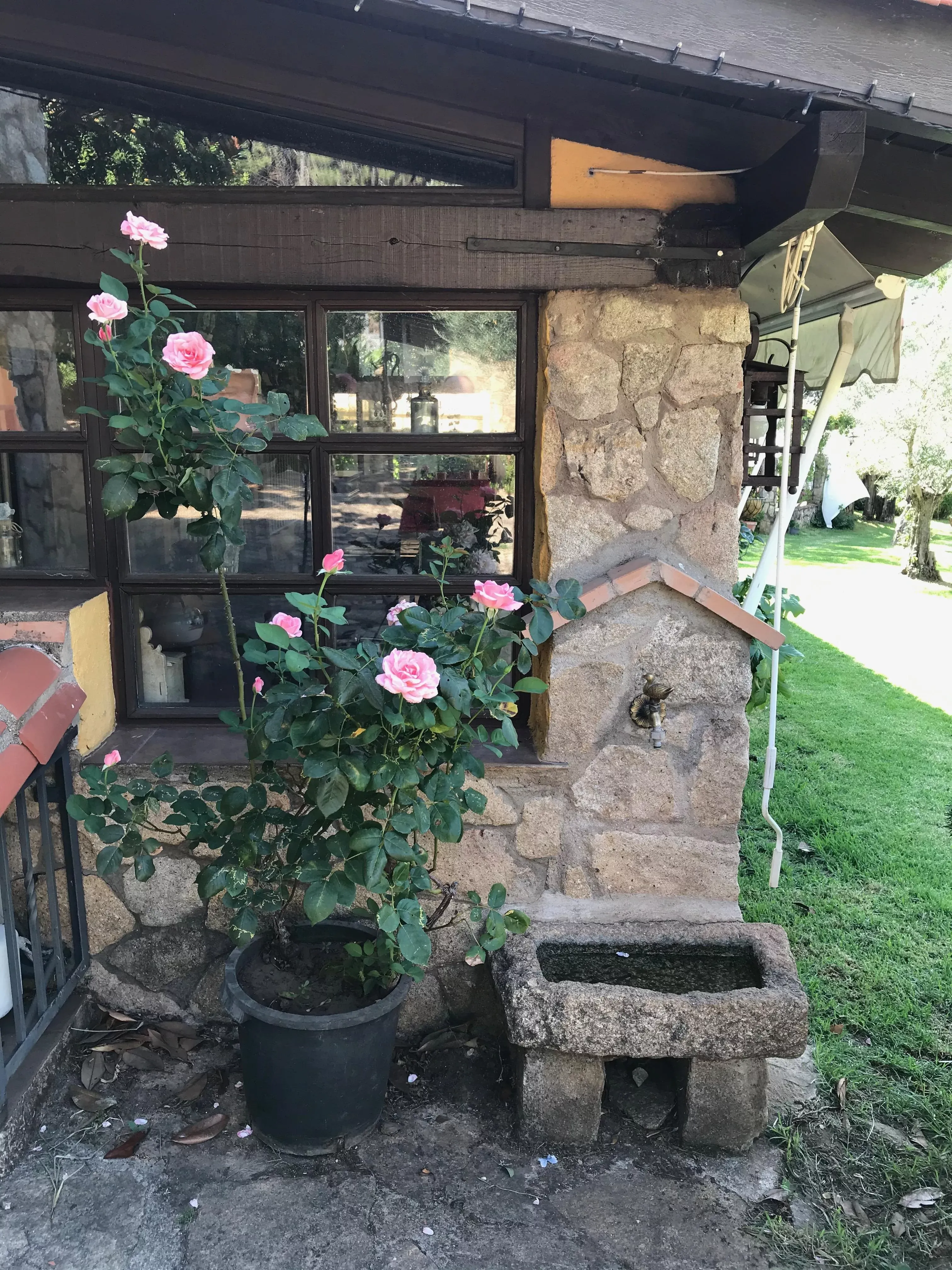 Imagen de Jardín