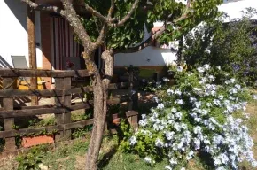 Imagen de Finca El Chorrillo Studio