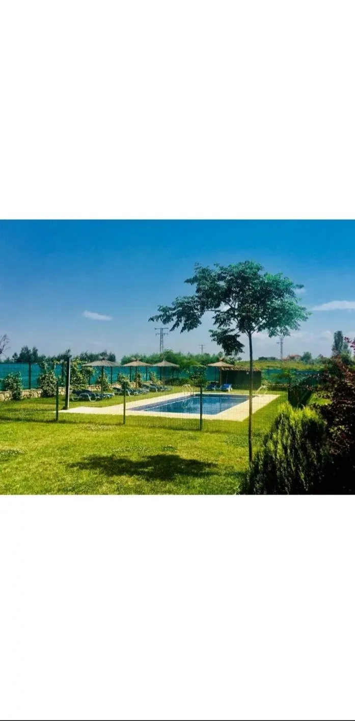 Imagen de Piscina con sombrillas y hamacas