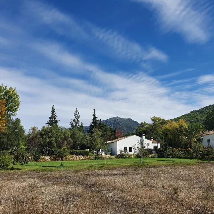 Imagen de Panorámica