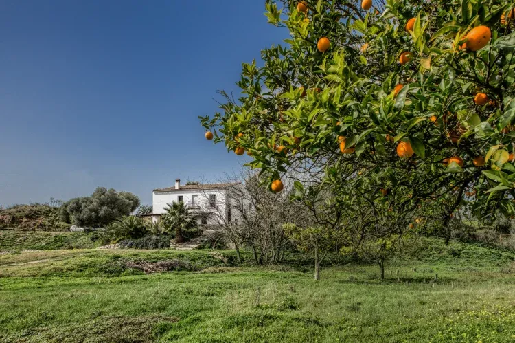 Imagen de Vista exterior