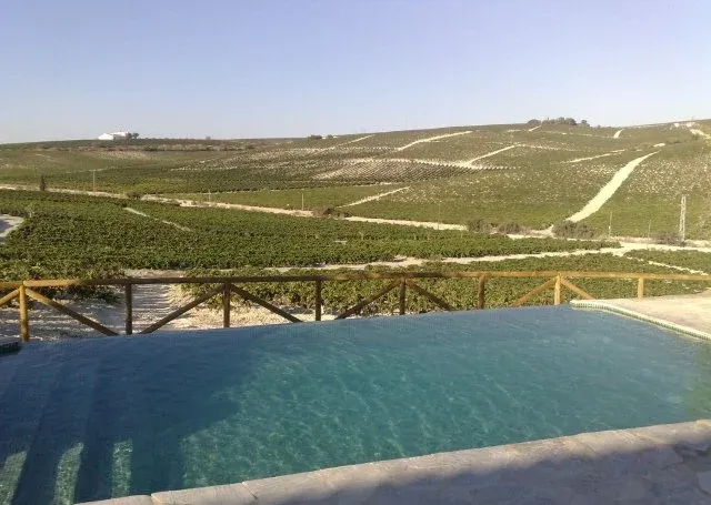 Imagen de La piscina y la vista