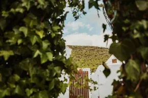 Imagen de Casas La Meca