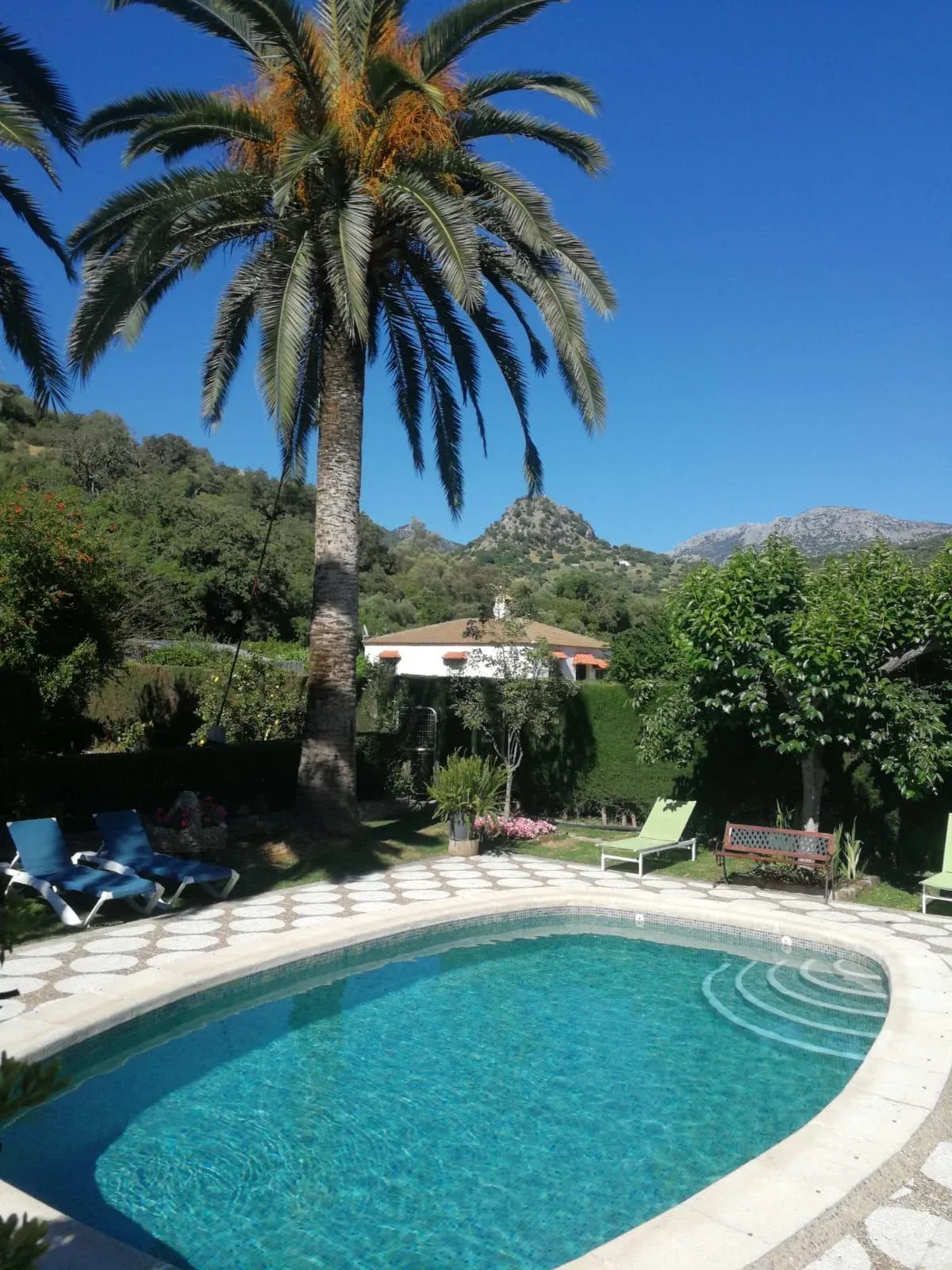 Imagen de Piscina