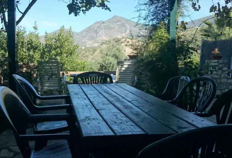 Imagen de TERRAZA