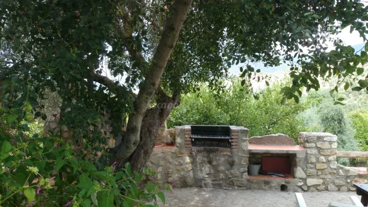 Imagen de BARBACOA