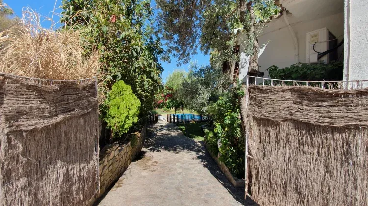 Imagen de ENTRADA