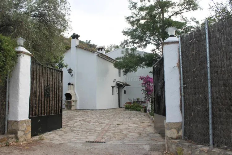 Imagen de Entrada