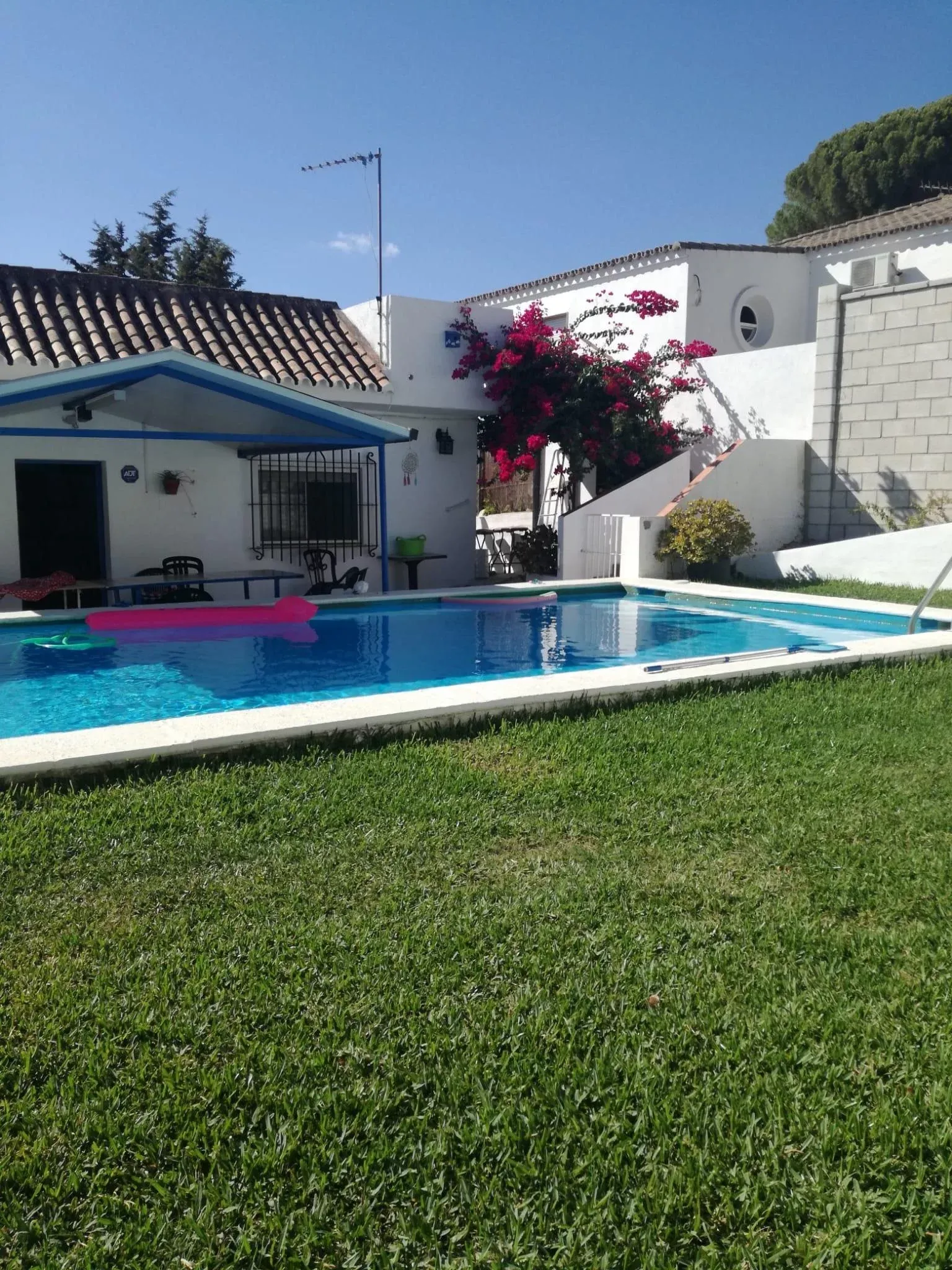 Imagen de zona césped y piscina