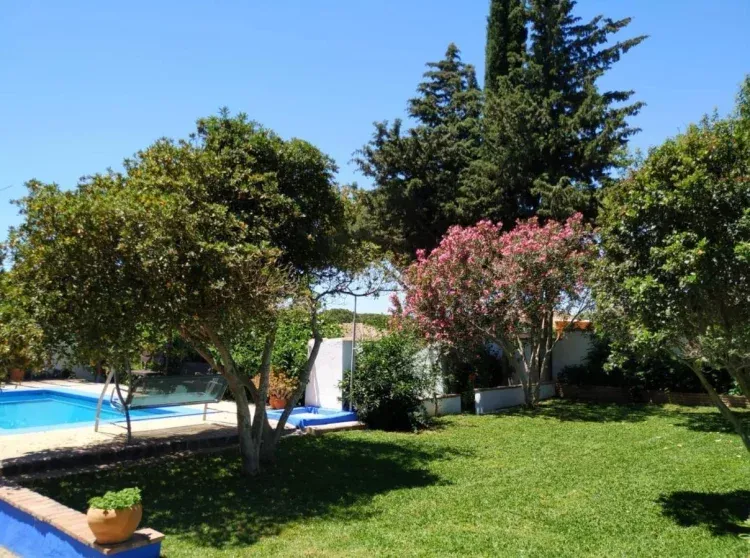 Imagen de Zonas comunes - jardín