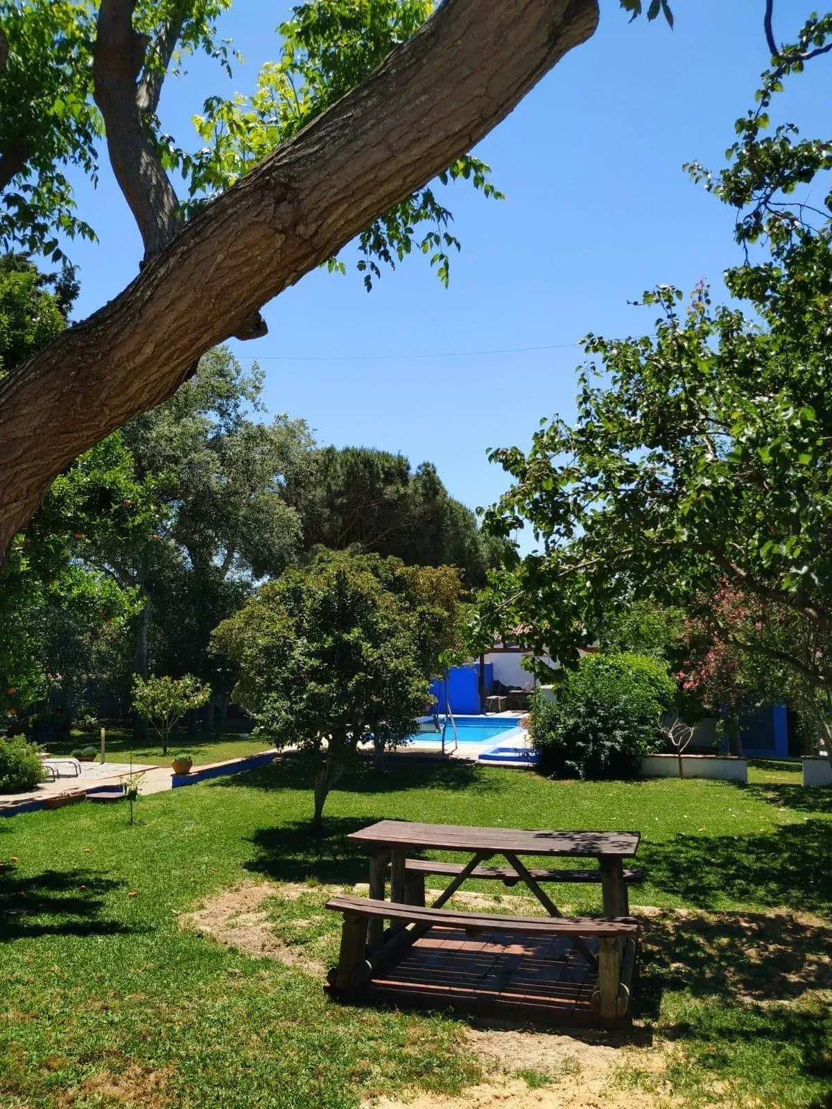 Imagen de Zonas comunes - jardín