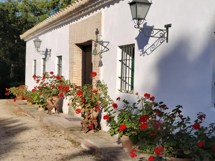 Imagen de Fachada principal