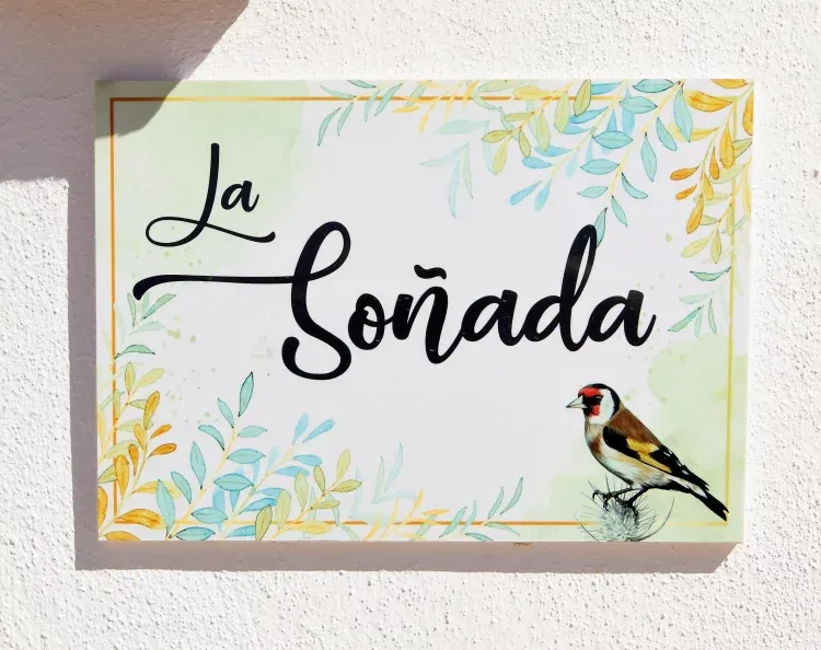 Imagen de LA SOÑADA