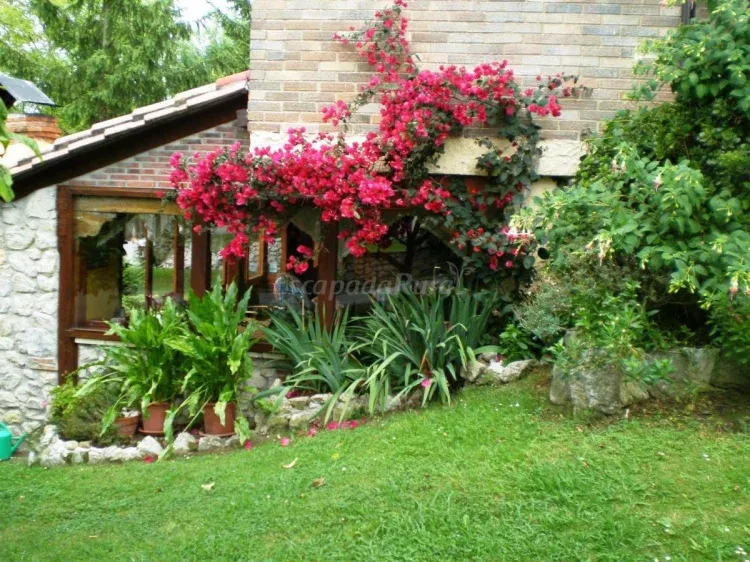 Imagen de jardin