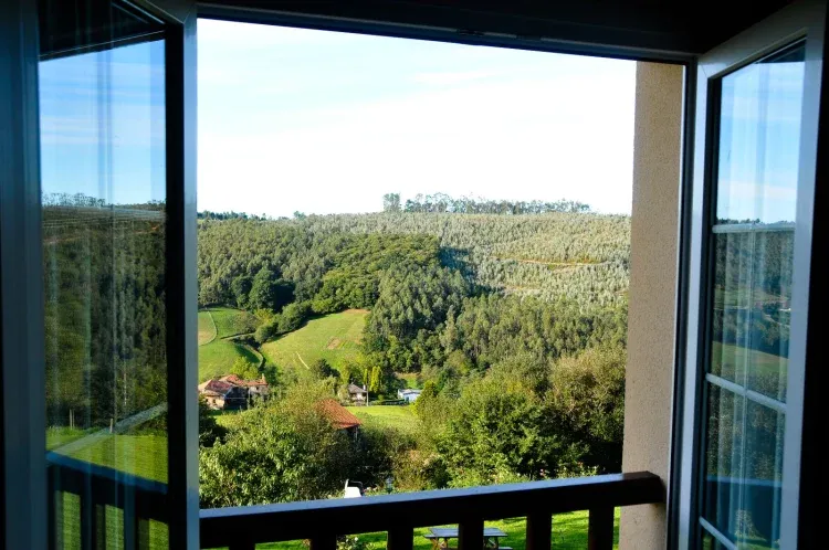Imagen de Vistas